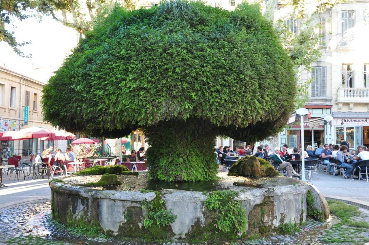 La Pause Salonaise "Au Coeur De La Ville" מראה חיצוני תמונה